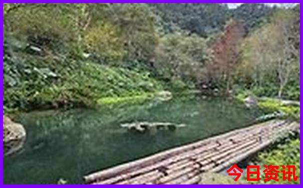 重庆有什么好玩的旅游景点